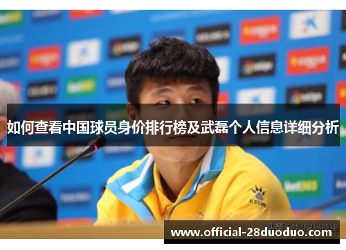 如何查看中国球员身价排行榜及武磊个人信息详细分析
