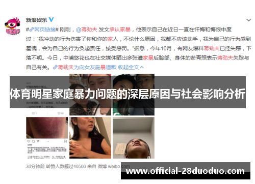 体育明星家庭暴力问题的深层原因与社会影响分析