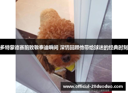 多特蒙德赛前致敬泰迪瞬间 深情回顾他带给球迷的经典时刻