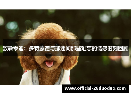 致敬泰迪：多特蒙德与球迷间那些难忘的情感时刻回顾