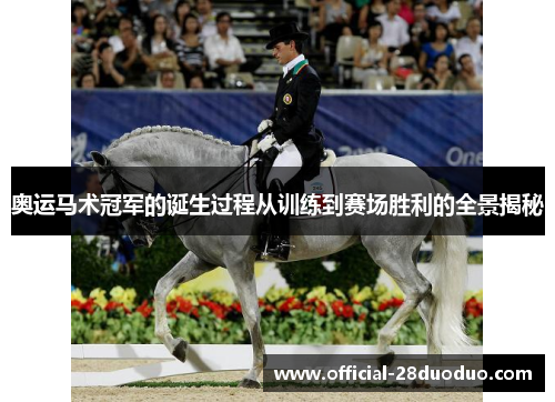 奥运马术冠军的诞生过程从训练到赛场胜利的全景揭秘