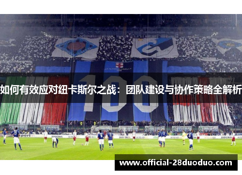 如何有效应对纽卡斯尔之战：团队建设与协作策略全解析